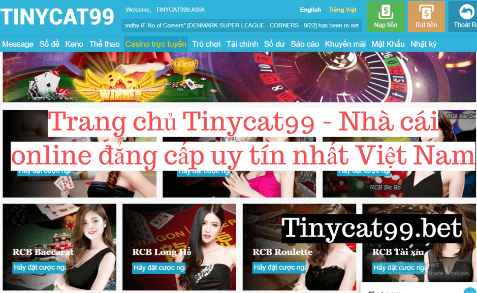 Tinycat 99